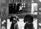 Daingerfield State Park’s First Hike of 2025