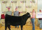 Grand Champion Breeding Heifer and Senior Cattle Showmanship winner was Morris County 4-H member, Hailey Tatmen. Morris County Junior Livestock Show results