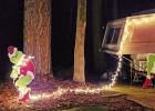 Tenth annual Christmas in the Park brings thousands to Daingerfield State Park