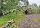  Straight line winds wreck parts of Northeast Texas