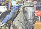 Naples hosts 83rd Annual Watermelon Festival and Rodeo