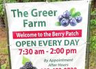 Greer Farm open for your berry-picking pleasure